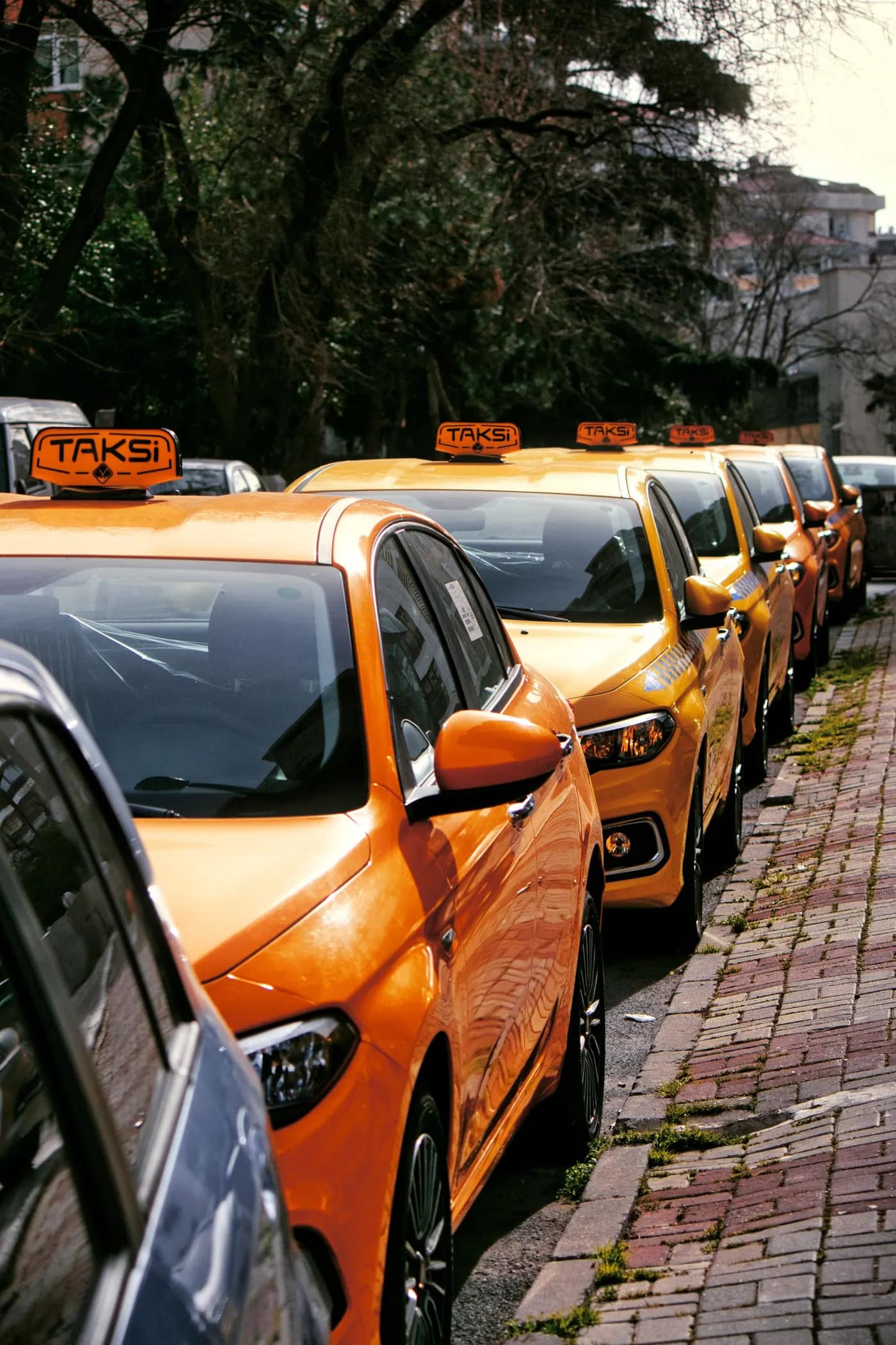 Rad av taxibilar uppställda i kö